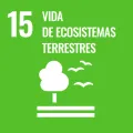 ODS 15 — Vida de ecosistemas terrestres